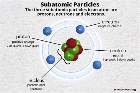 The Two Subatomic Particles that Must be Equal in Number