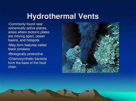 The Unique Environment of Hydrothermal Vents