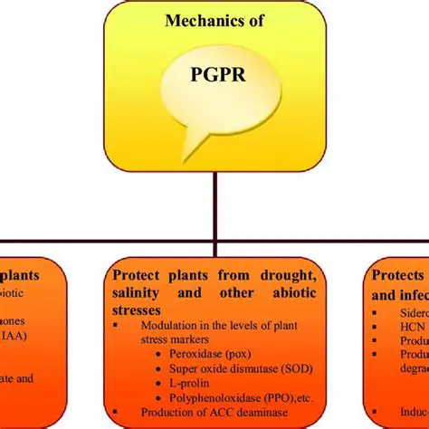 Timing of PGPR application