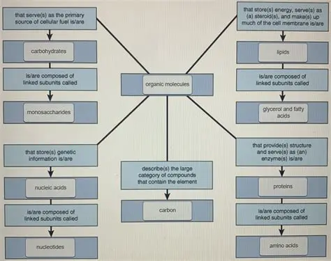 To describe the current curly red chili marketing system in Karo Regency