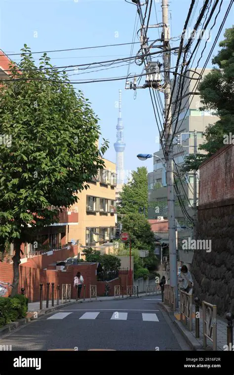 徳山競艇：ボートレースの魅力と予想を徹底解説！