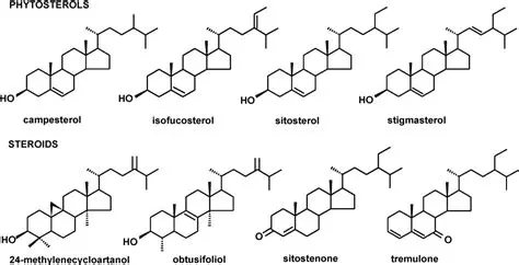 Triterpenoids and Phytosterols