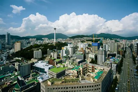 TSLA 주가 전망: 테슬라 주식, 2024년에도 계속될 질주? 분석 및 투자 전략