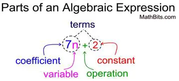Understanding Algebraic Translations