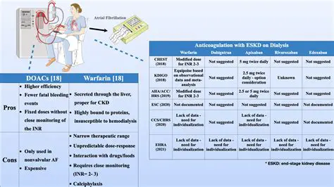 Understanding CKD and Medication Adjustment