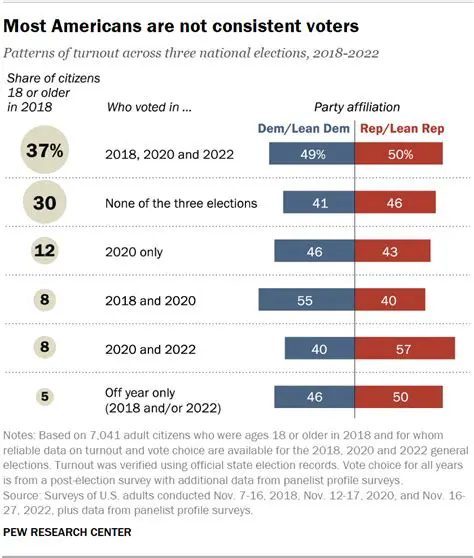 Understanding Consistent Voters
