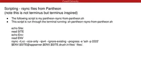 Understanding Font Issues in Pantheon Terminal