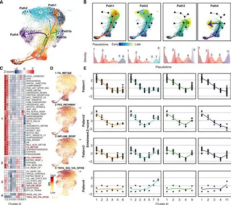 Understanding Heterogeneity in Population