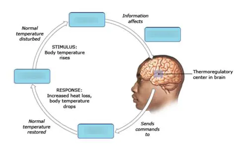 Understanding Neurological Disorders and Body Temperature Regulation