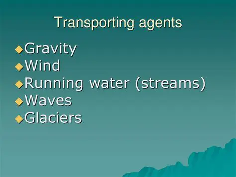 Understanding Sediment Transporting Agents
