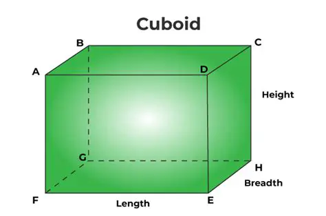 Understanding the Base of a Cuboid
