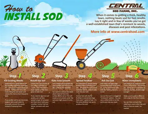Understanding the Basics of Sod Measurement