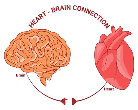 Understanding the Connection Between Heart Rate and Happiness