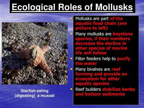 Understanding the Ecological Roles of Arthropods and Mollusks
