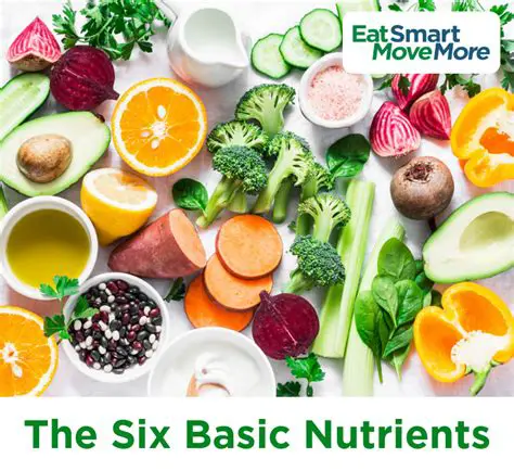Understanding the Importance of Nutrient Intake