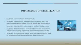 Understanding the Importance of Sterilization