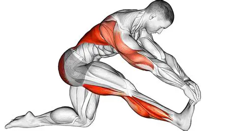 Understanding the Key Points of Stretching