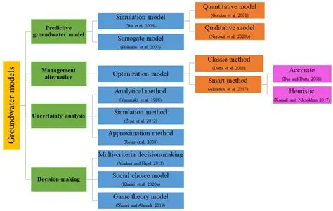 Understanding the Need for Miracle 2010