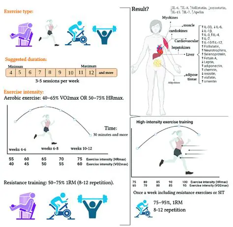 Understanding the Types of Exercises