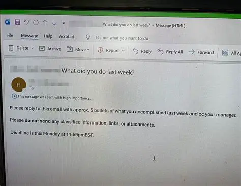 Unpacking the 'What Did You Do Last Week?' Email: A Fox News Perspective