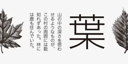Unveiling Iwata New Gothic: A Legacy of Modern Japanese Typography