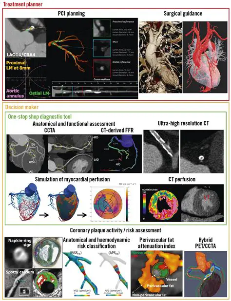 Using Mixed Reality for Coronary Heart Simulation