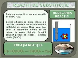 Utilizarea Sulfatului de Cupru pentru Pisici: Ghid Complet și Sfaturi de Siguranță