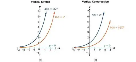 Vertical Stretch in Exponential Functions