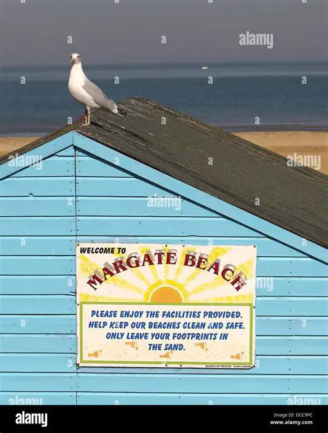 Margate NJ Weekend Weather Forecast: Plan Your Trip Now!