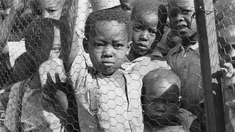 Unpacking the 'Zimbabwe Apartheid' Analogy: History, Reality, and Ongoing Debates